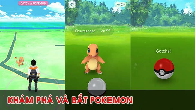 kham-pha-va-bat-pet-trong-pokemon-go